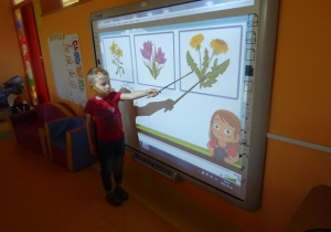 Chłopiec wskazuje jedną z roślin na tablicy interaktywnej.